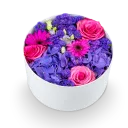 Box fialových květin